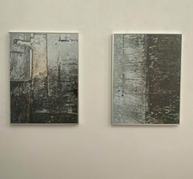 Eindrücke von der Ausstellung "Tabu" im Atelierhaus Darmstadt