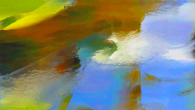 Brigitte Satori Constantinescu