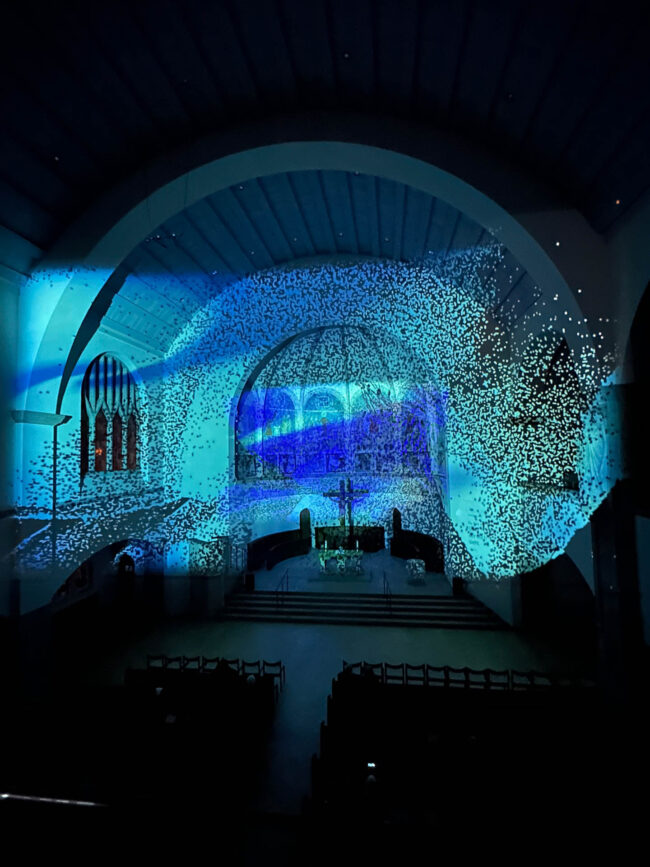 Brigitte Satori Constantinescu, Über Leben